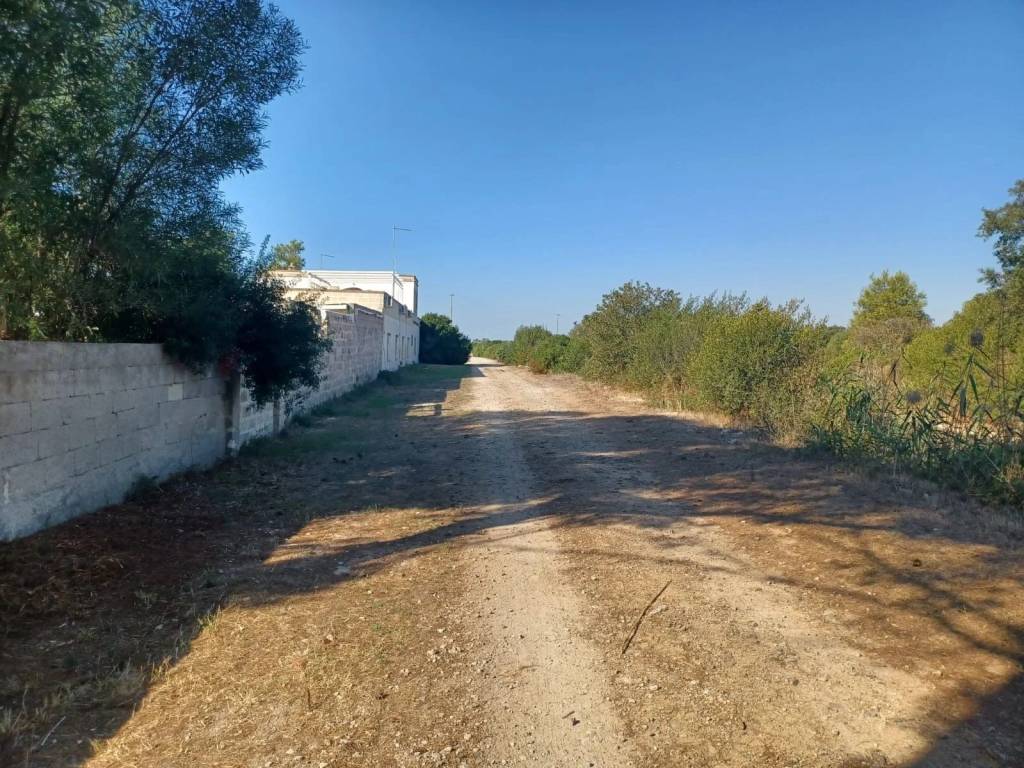 Terreno a Porto cesareo - Foto 5