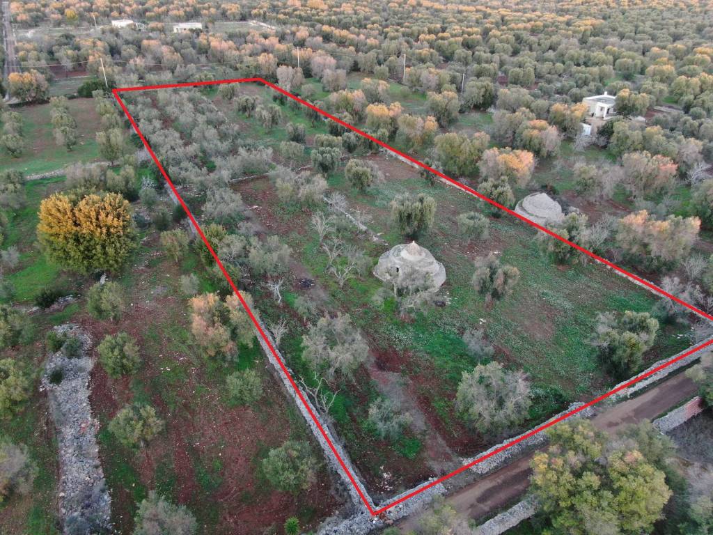 Terreno a Carovigno in Contrada Favone - Foto 5