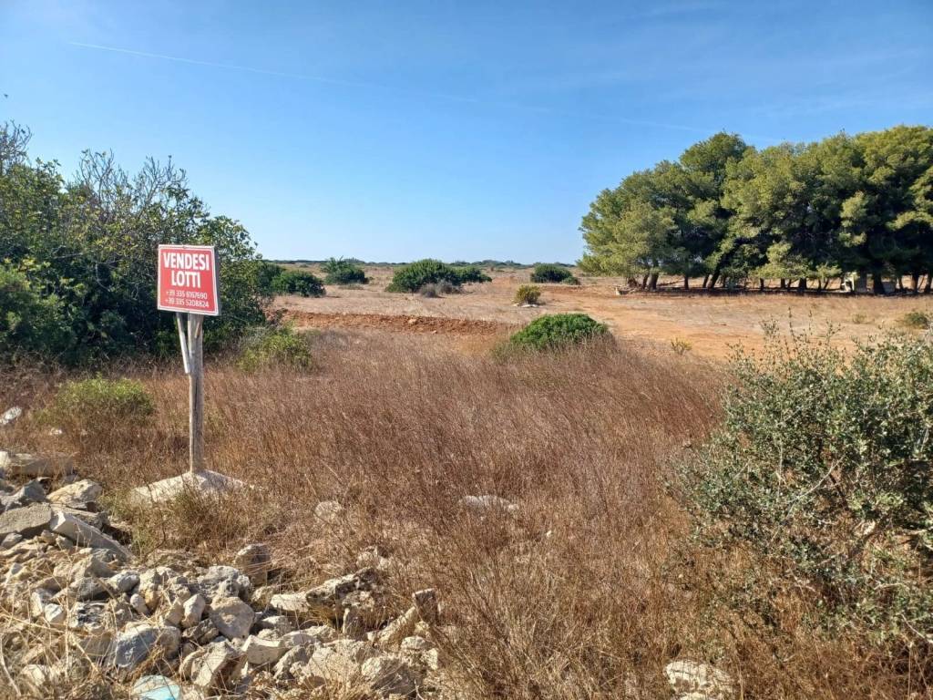Terreno a Nardò - Foto 2