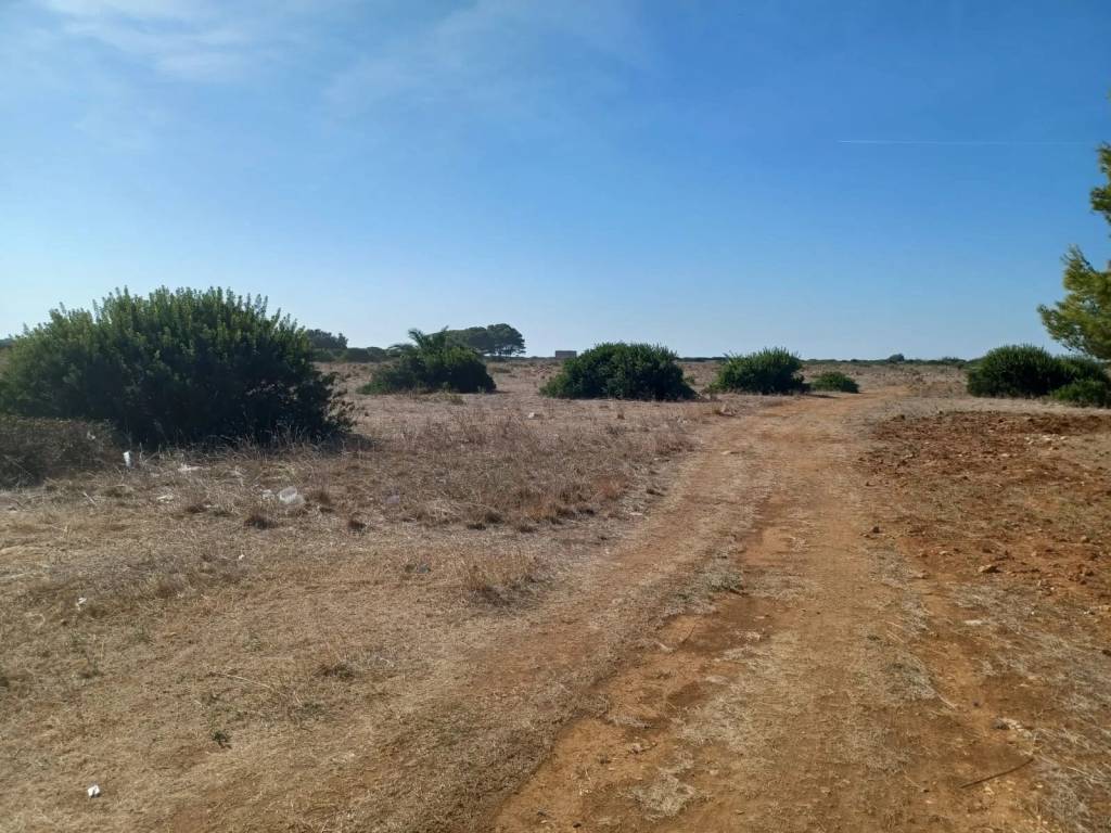 Terreno a Nardò - Foto 3