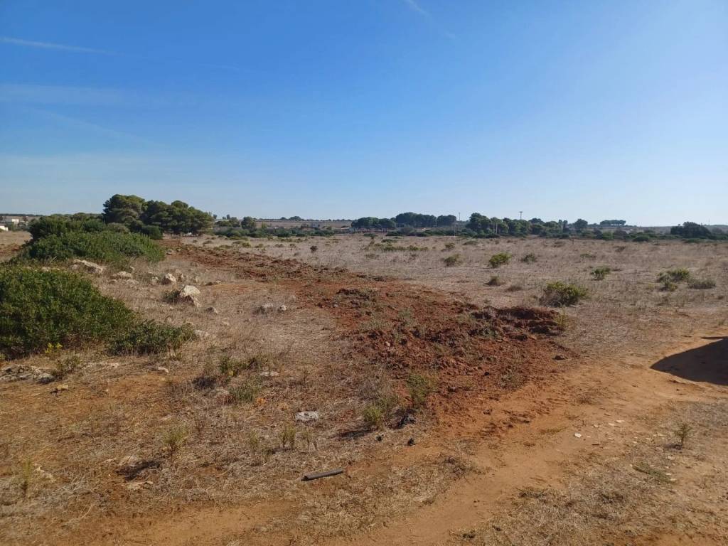 Terreno a Nardò - Foto 4