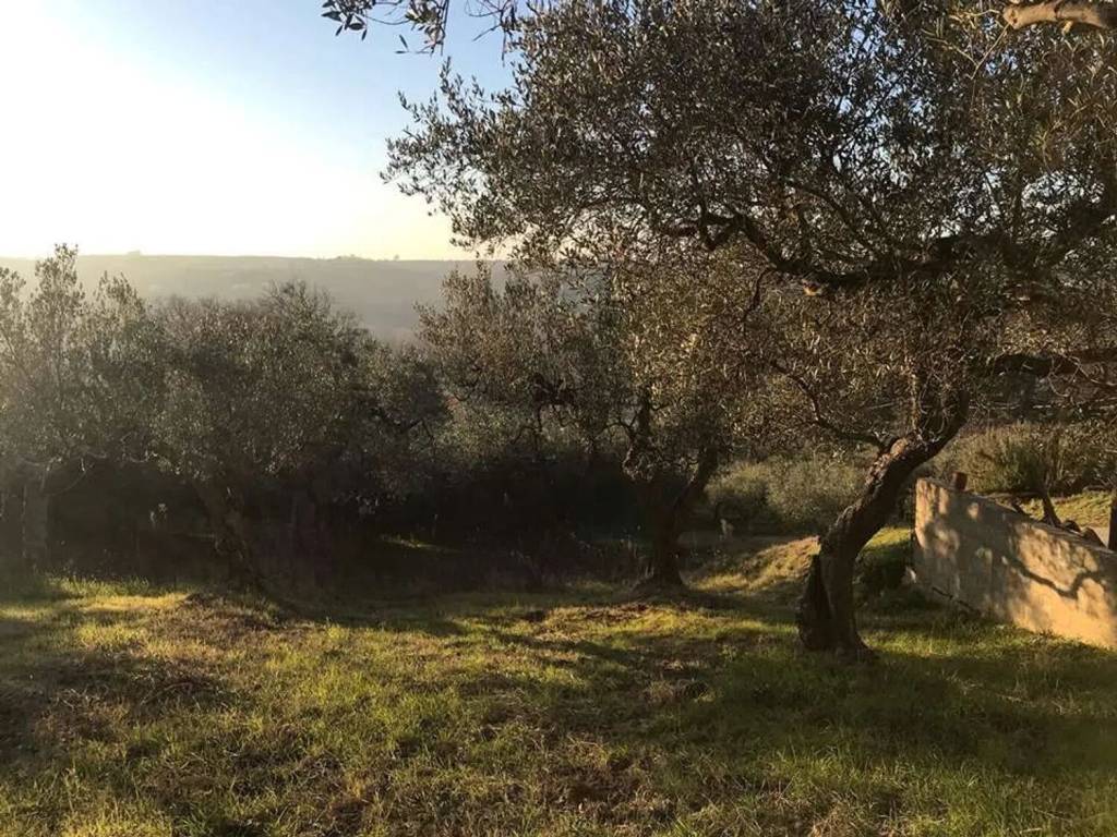 Terreno a Torino di sangro in Via Monte S.N.C. - Foto 3
