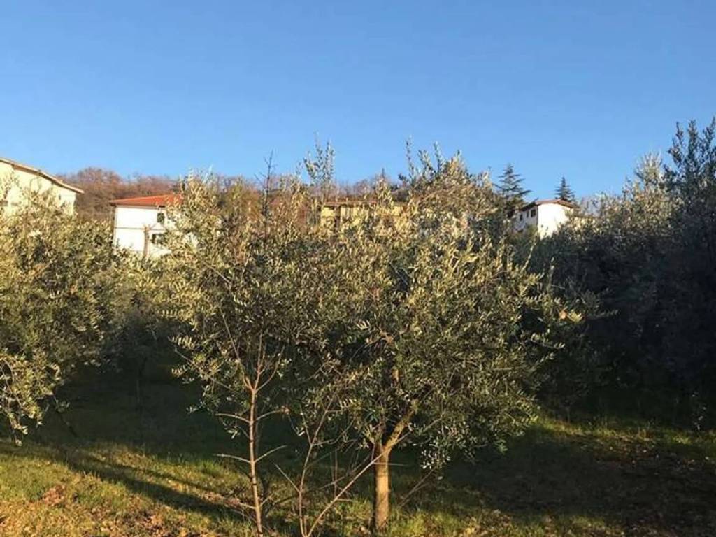Terreno a Torino di sangro in Via Monte S.N.C. - Foto 5
