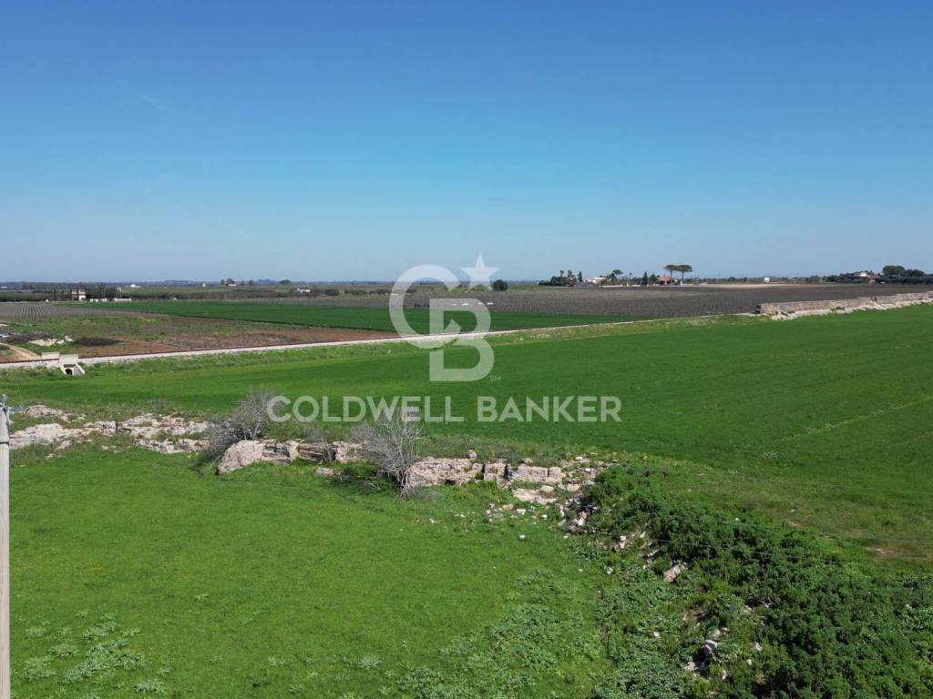 Terreno a San pancrazio salentino in Via Dei Girasoli - Foto 5