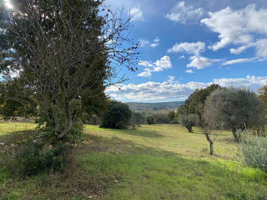 Rustico / casale a Ostuni in Contrada Sattarte - Foto 2