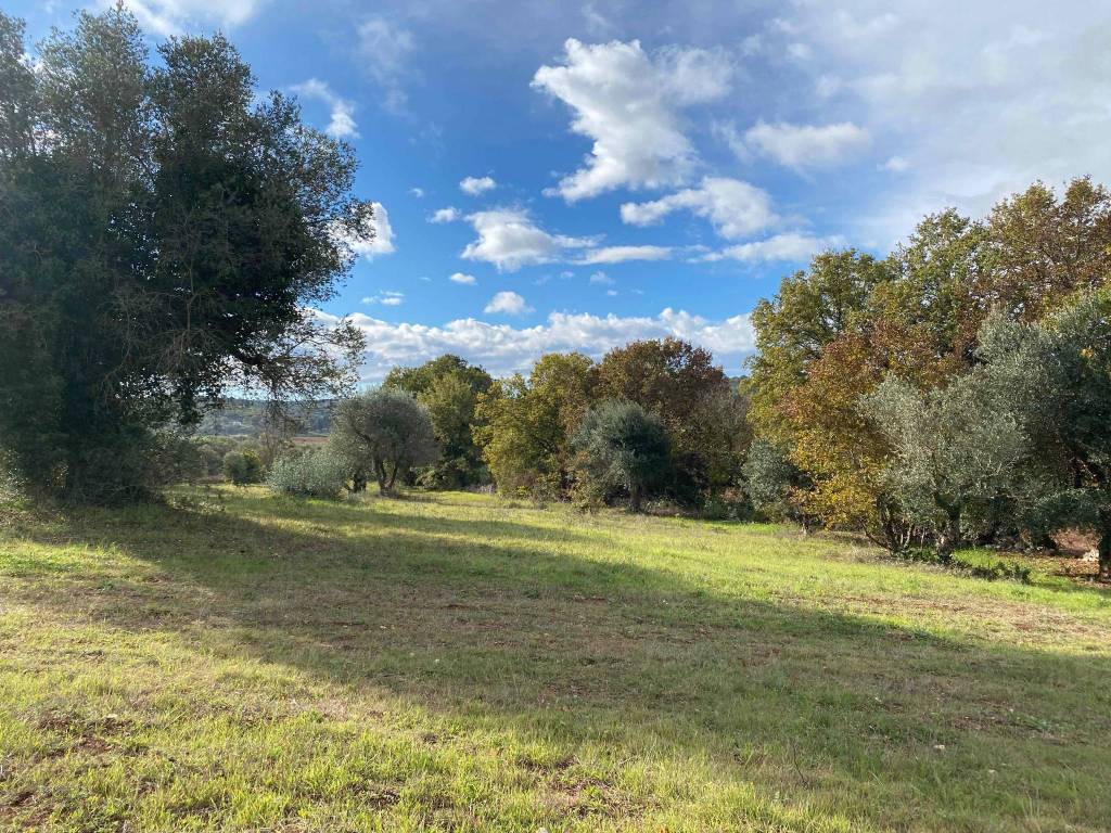 Rustico / casale a Ostuni in Contrada Sattarte - Foto 4