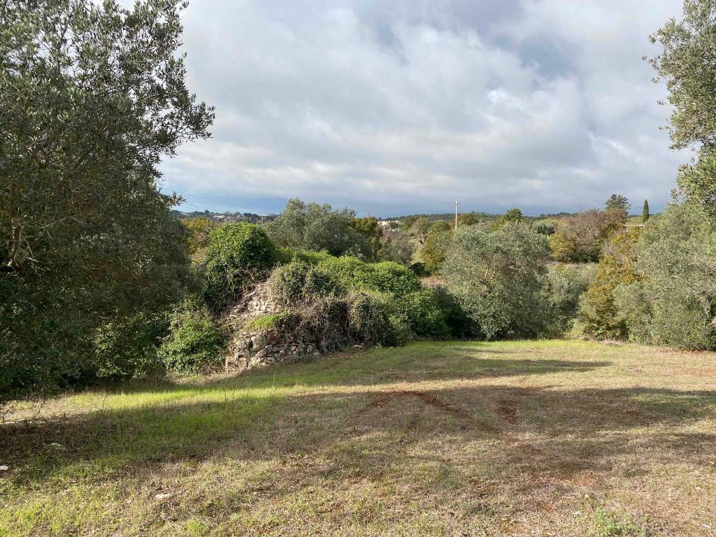 Rustico / casale a Ostuni in Contrada Sattarte - Foto 5