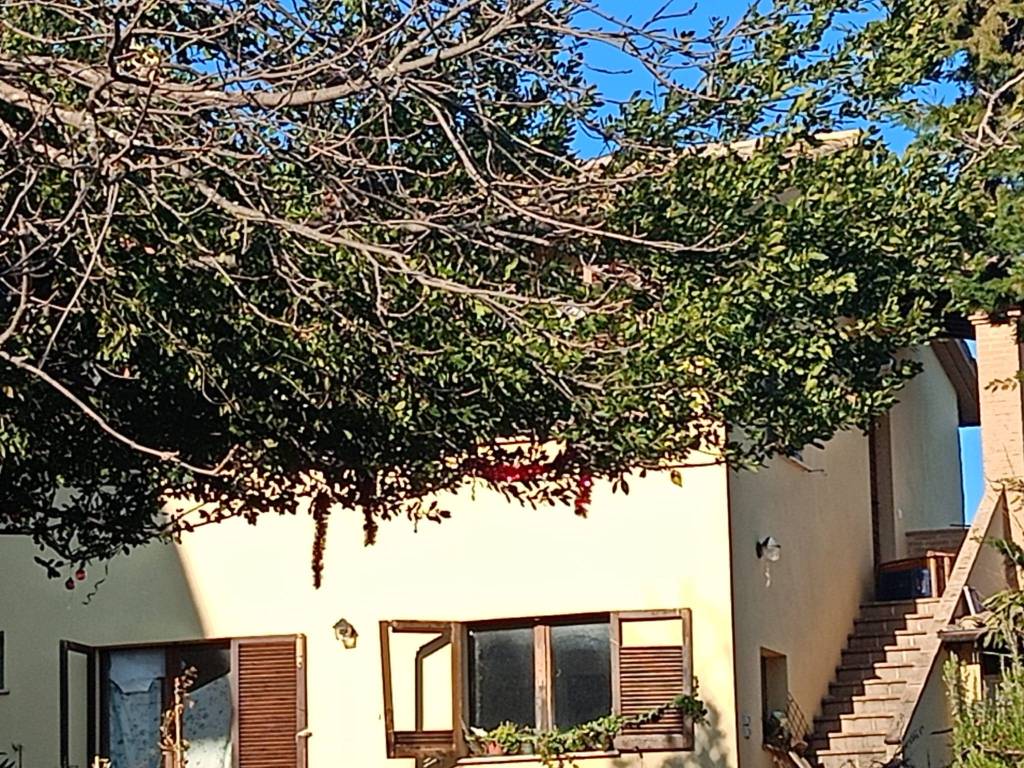 Appartamento a Montefalco in Vecciano - Foto 3