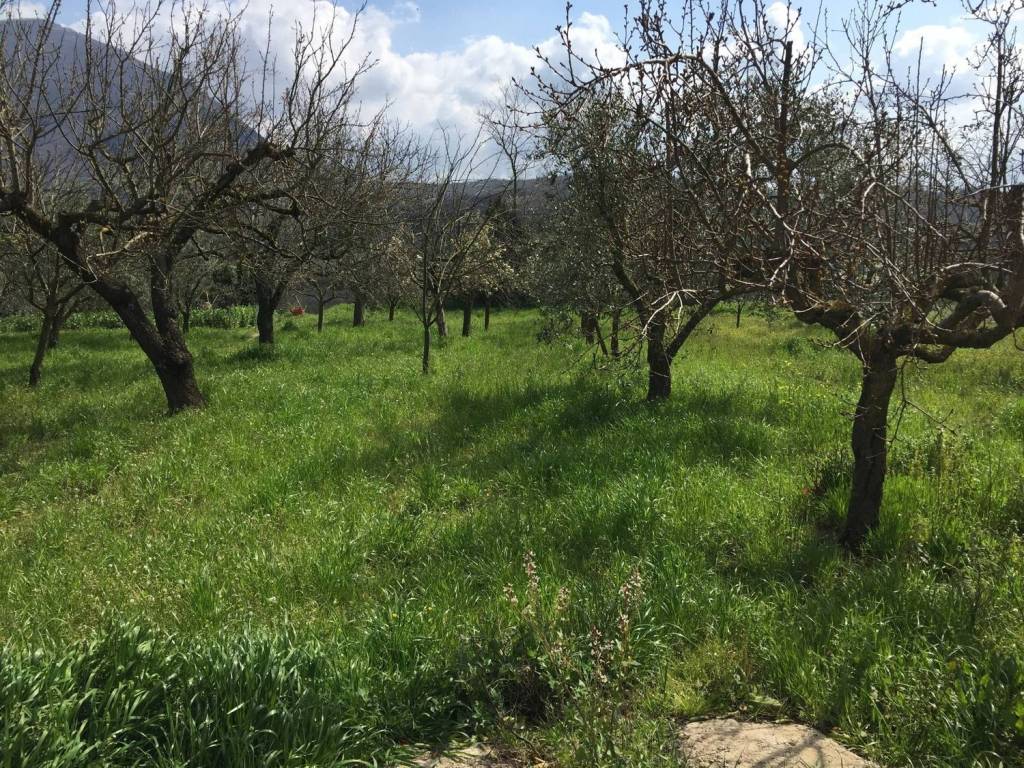 Rustico / casale a Telese terme in Via San Giovanni - Foto 4