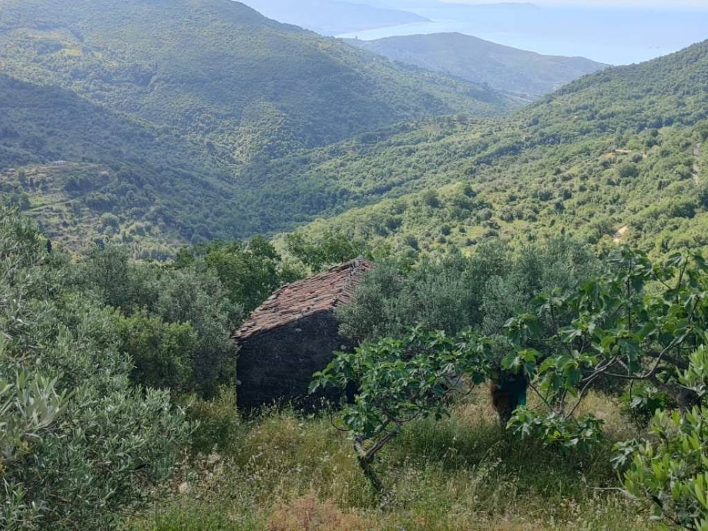 Terreno a Pollica in Via Provinciale per Galdo, 14 - Foto 2