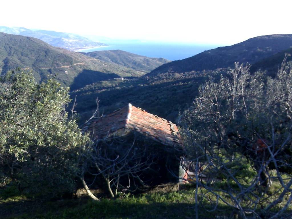 Terreno a Pollica in Via Provinciale per Galdo, 14 - Foto 3