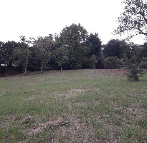 Terreno a Polverigi - Foto 2