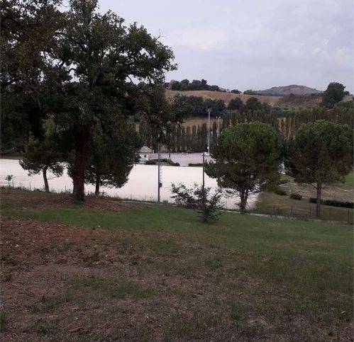 Terreno a Polverigi - Foto 3