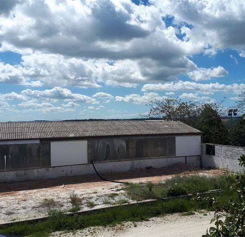 Rustico / casale a Osimo - Foto 3