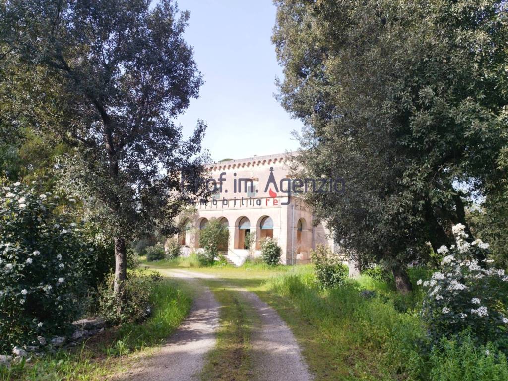 Palazzo / stabile a San vito dei normanni - Foto 3