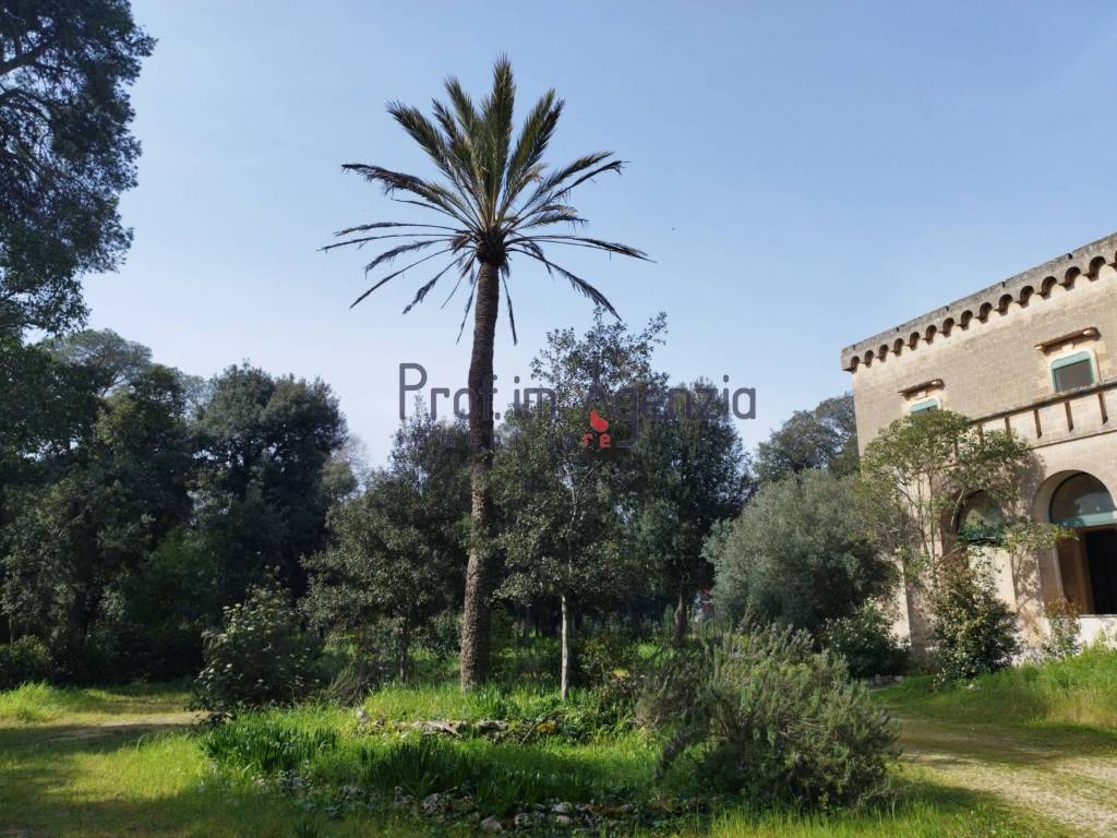 Palazzo / stabile a San vito dei normanni - Foto 5