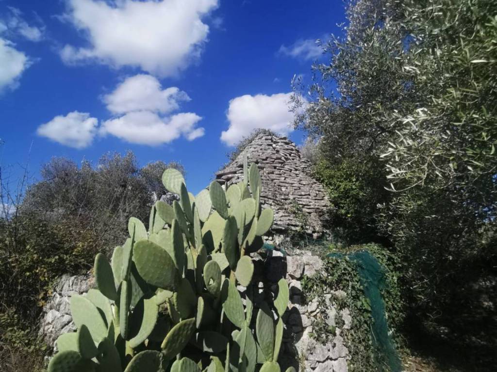 Rustico / casale a Ceglie messapica in Contrada Angelo Di Maglie S.N.C. - Foto 3