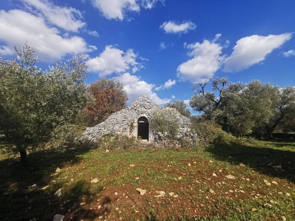 Rustico / casale a Ceglie messapica in Contrada Angelo Di Maglie S.N.C. - Foto 4