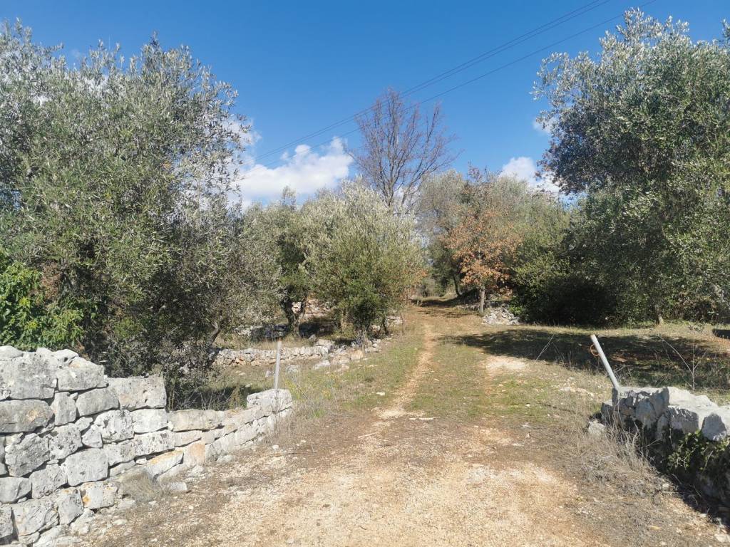 Rustico / casale a Ceglie messapica in Contrada Angelo Di Maglie S.N.C. - Foto 5