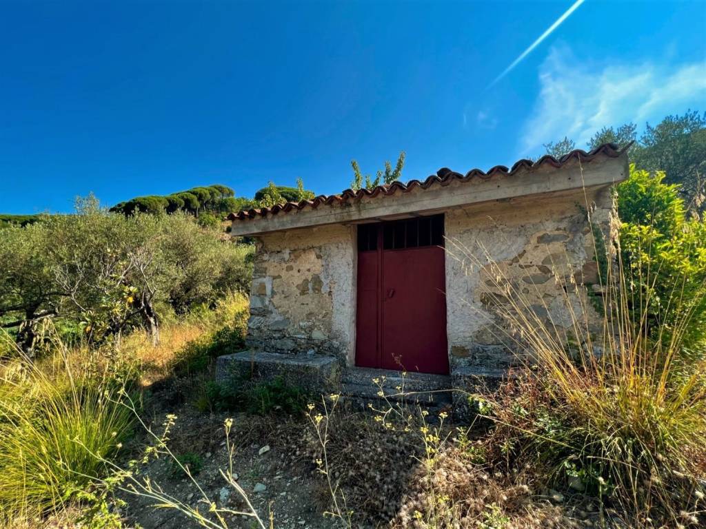 Terreno a Perdifumo in Vatolla Via Dei Giardini S.N.C. - Foto 3