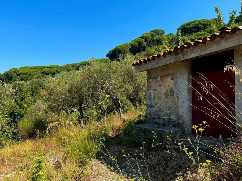 Terreno a Perdifumo in Vatolla Via Dei Giardini S.N.C. - Foto 4