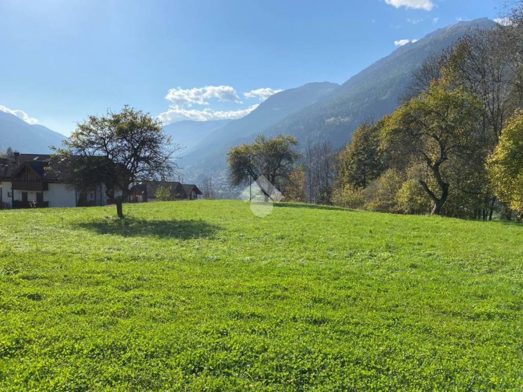 Terreno a Massimeno in Via di Massimeno, 28 - Foto 4