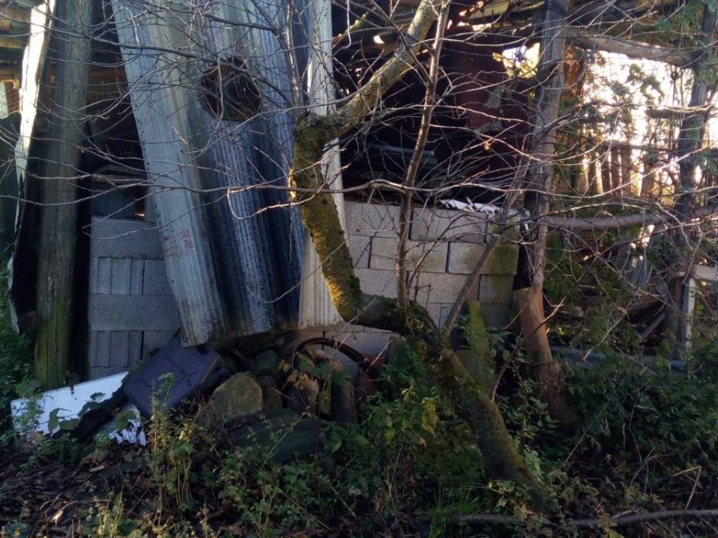 Rustico / casale a Ponte dell'olio in LOC VIGNETO - Foto 5