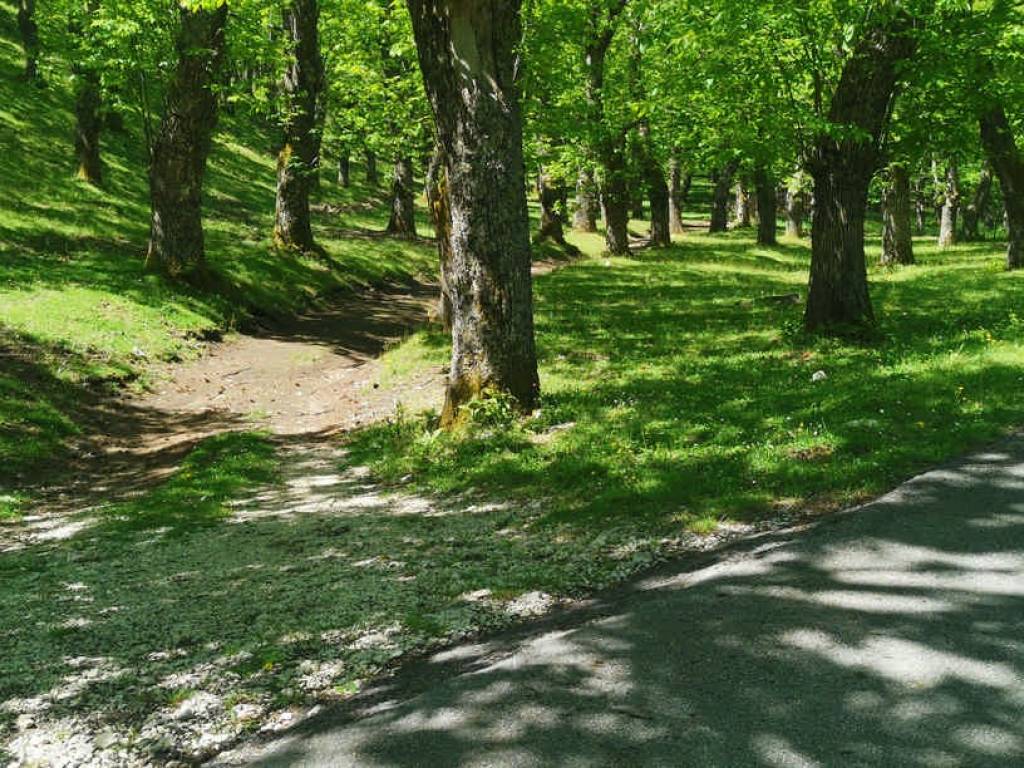 Terreno a Montella in Strada Statale del Monte Terminio - Foto 4