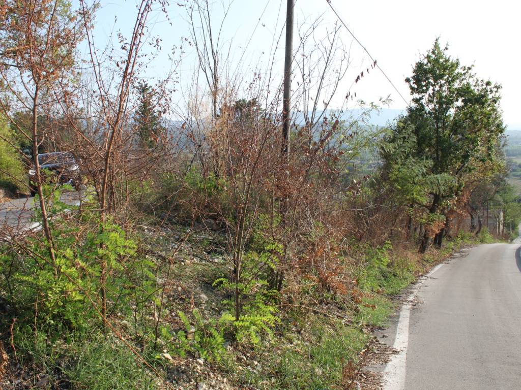 Terreno a Dugenta - Foto 3