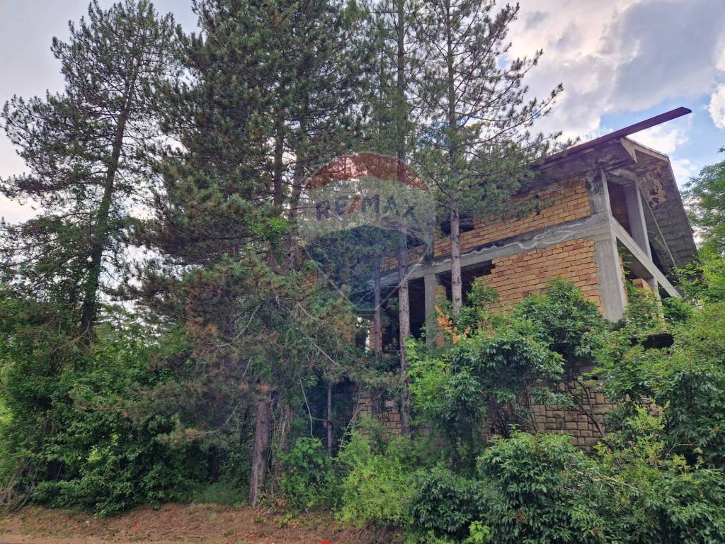 immagine di copertina