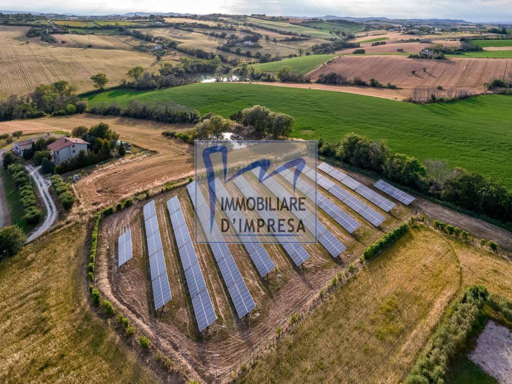 Terreno a Sorbolo mezzani in Sorbolo Mezzani - Foto 3