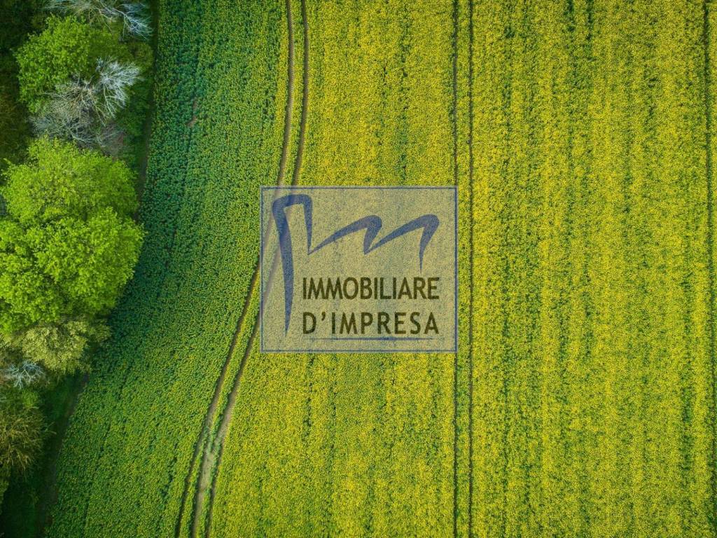Terreno a Sorbolo mezzani in Sorbolo Mezzani - Foto 5