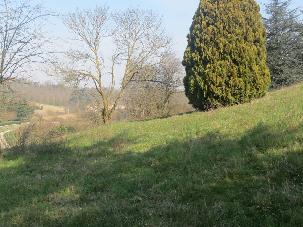 Villa a Valenza in Strada Astigliano - Foto 3