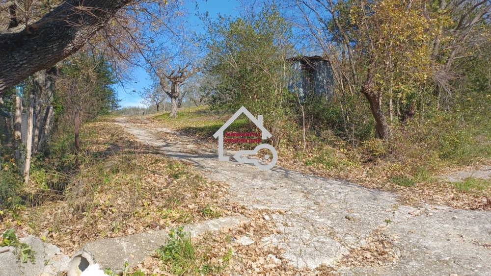 Terreno a Albanella in Via Monte Verde, 30 - Foto 3