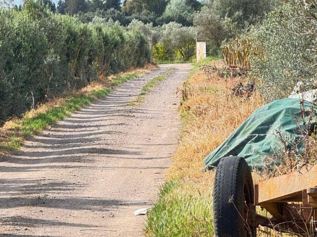 Terreno a Monastir in Strada Comunale Tuppa Cifraxiu - Foto 2