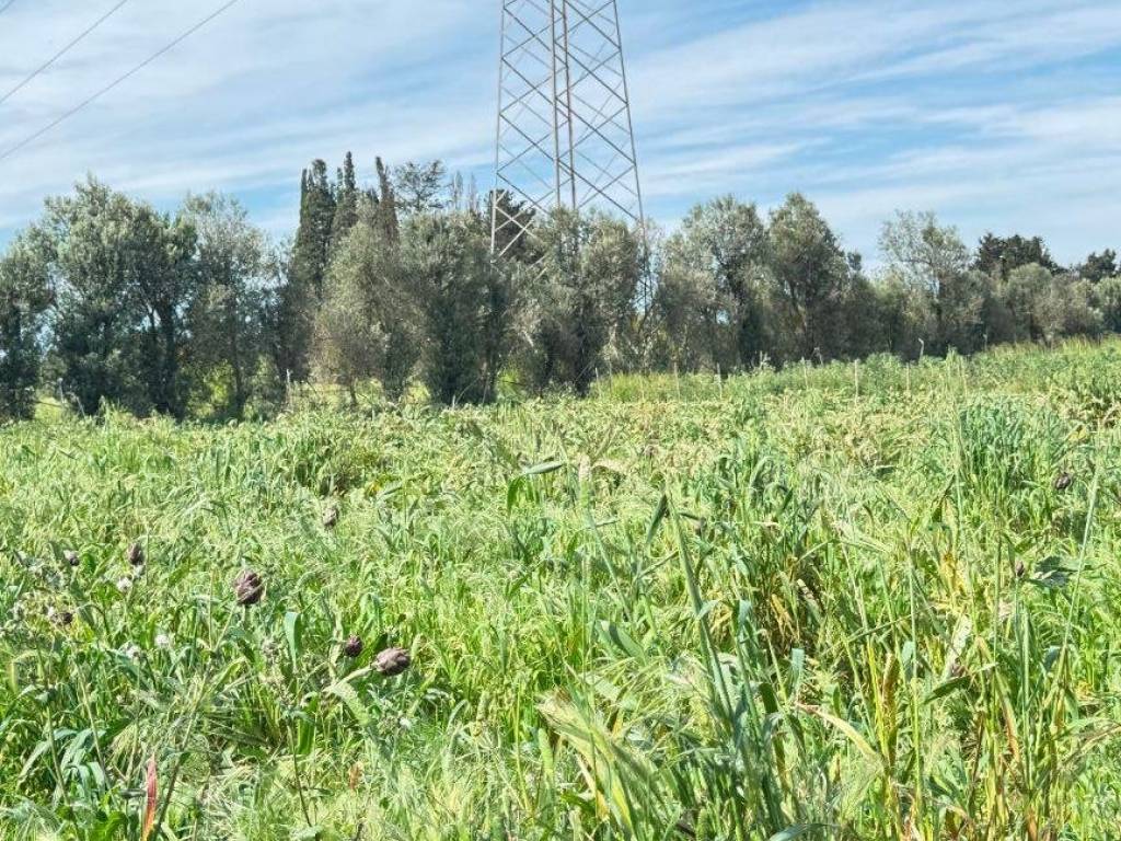 Terreno a Monastir in Strada Comunale Tuppa Cifraxiu - Foto 3