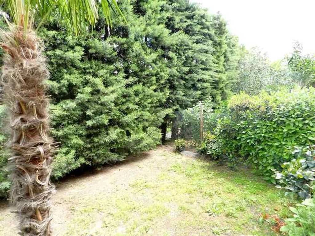 Villetta a schiera a Cinigiano - Foto 3