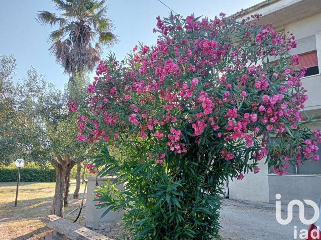 Villa a Fano in Via Mario Sironi, 12 - Foto 2