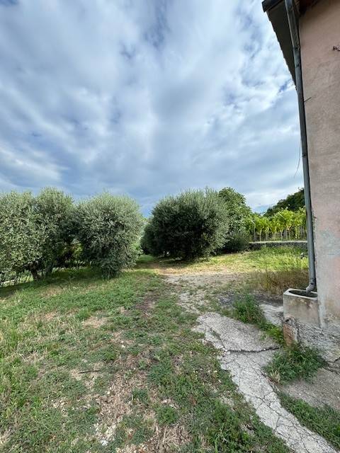 Rustico / casale a Negrar di valpolicella - Foto 3