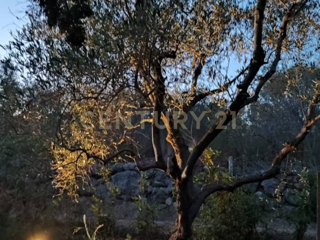 Terreno a Orbetello in via provinca - Foto 3