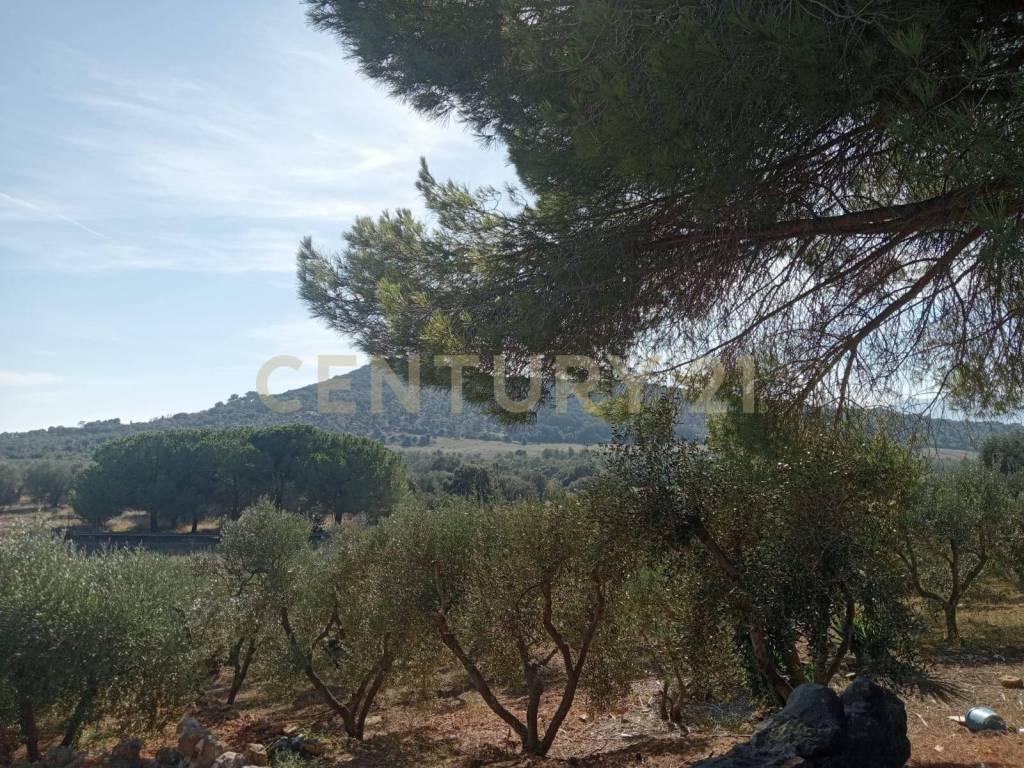 Terreno a Orbetello in via provinca - Foto 5