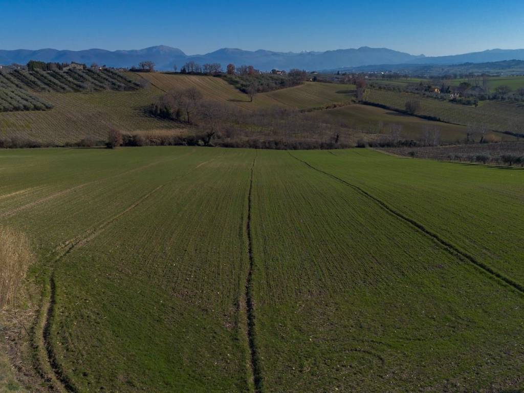Villa a Montefalco in Località San Marco - Foto 4