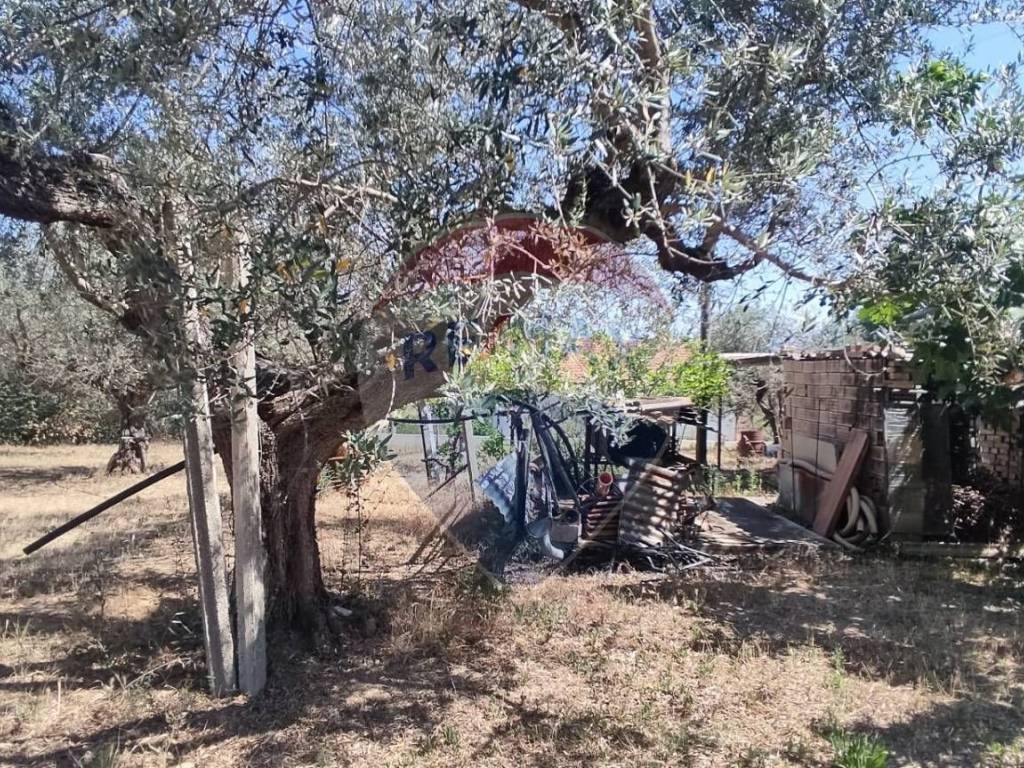Casa indipendente a Cepagatti in VIA QUERCETO - Foto 3