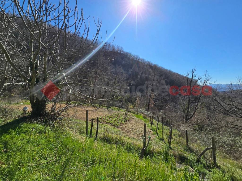 Terreno a Rieti in Via del Cerenaro, snc - Foto 5
