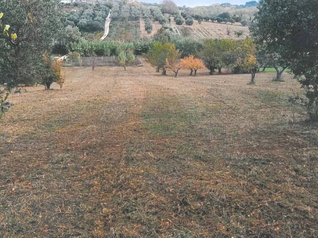 Terreno a Spoltore in Via Castellani S.N.C. - Foto 2