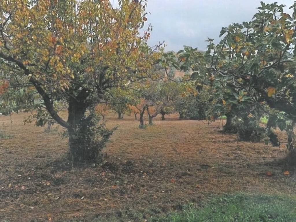 Terreno a Spoltore in Via Castellani S.N.C. - Foto 3