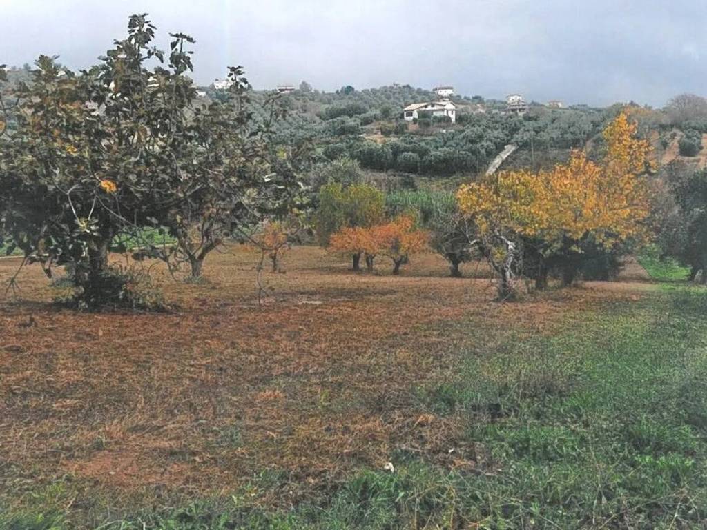 Terreno a Spoltore in Via Castellani S.N.C. - Foto 4