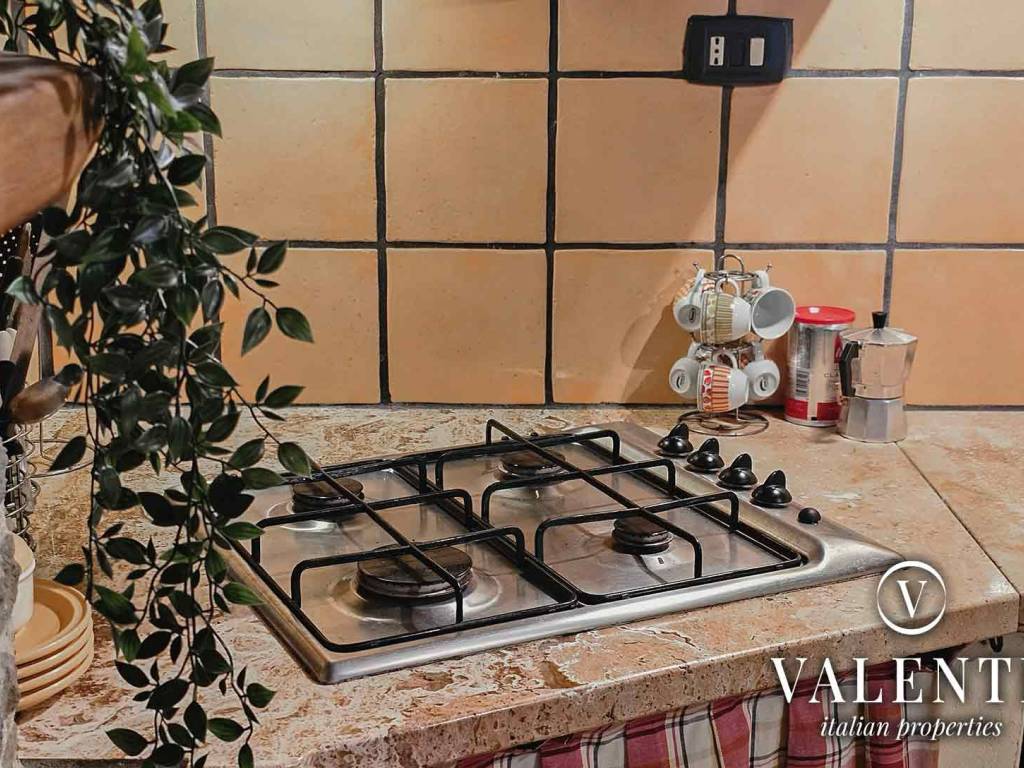 Casa indipendente a Pescia in Via San Vincenzo, 14 - Foto 3