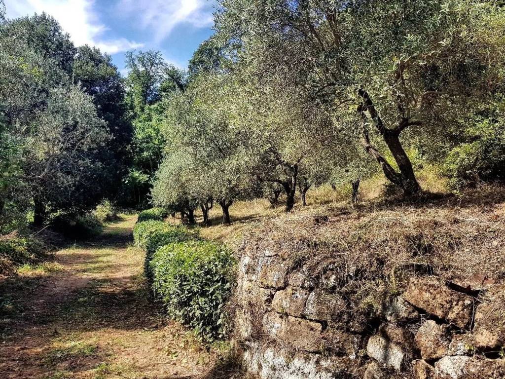 Villa a Sorano in Località Aterini - Foto 2