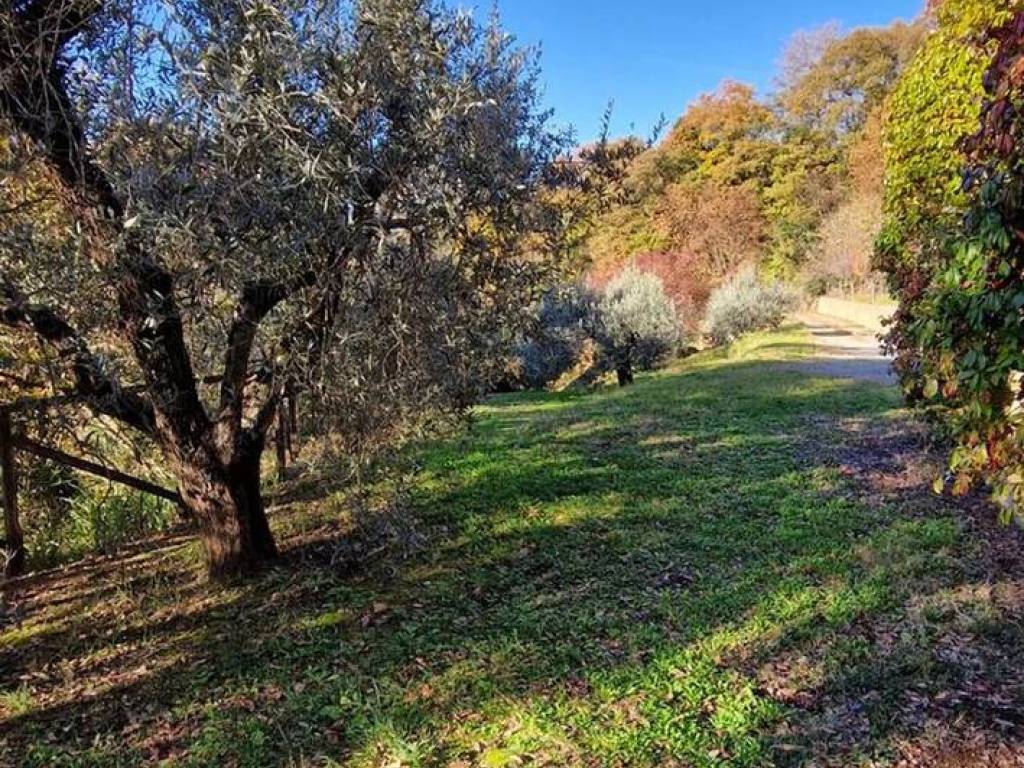 Rustico / casale a Semproniano - Foto 4